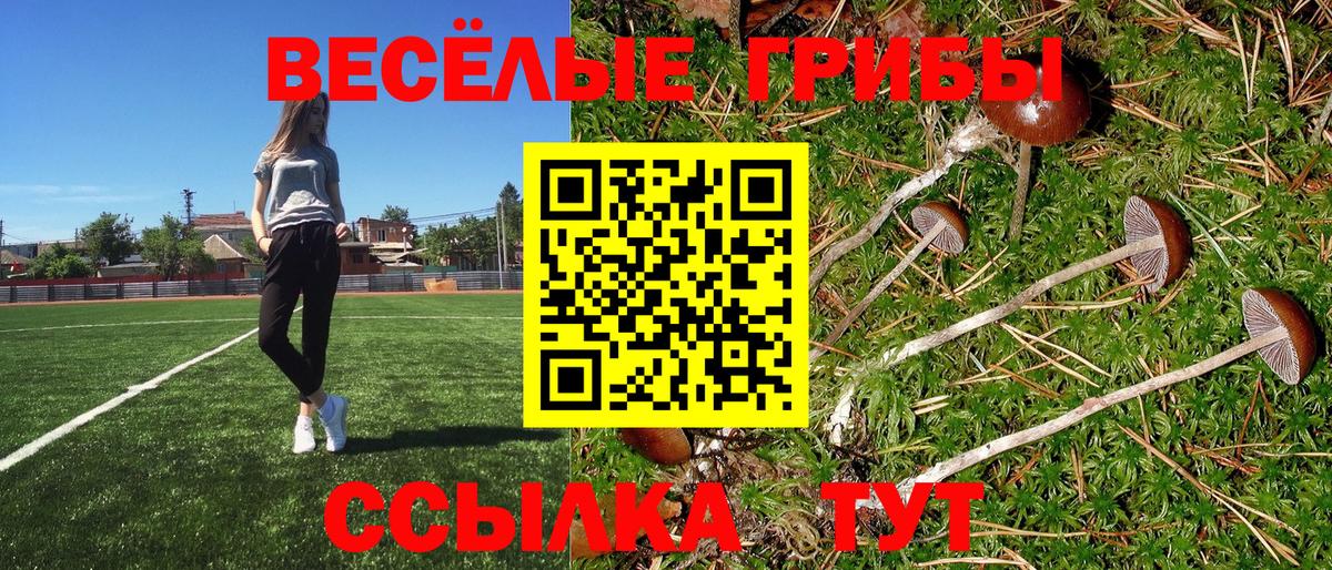 Галлюциногенные грибы ЛСД  Родники 