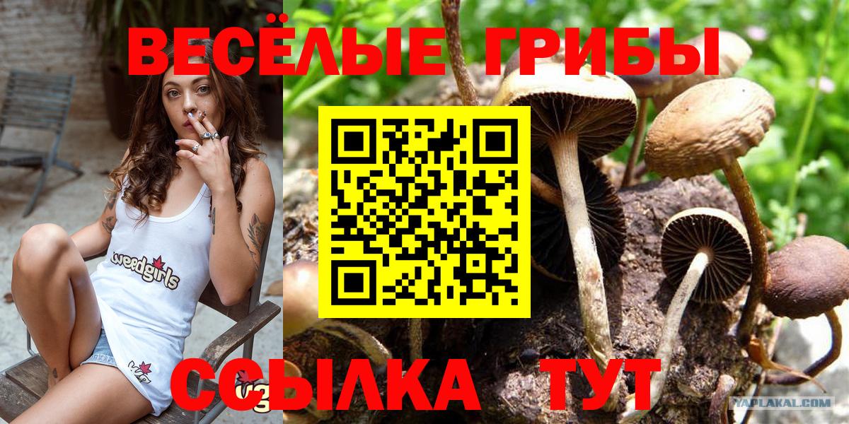 NBOMe Родники