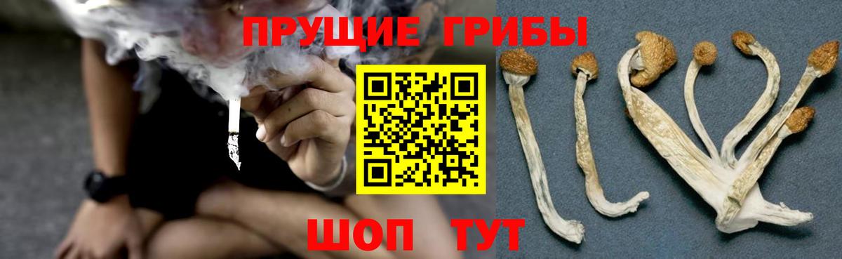 Псилоцибиновые грибы ЛСД  Вход с VPN  Родники 