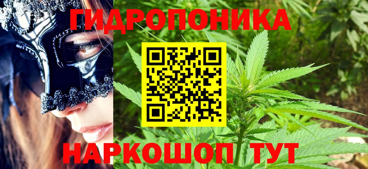 МАРИХУАНА VHQ  Канабис конопля  Каннабис индика  Канабис гибрид  Родники 